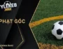 Soi Tỷ Lệ Kèo Phạt Góc Cực Gắt: Vì Sao Kèo Này Dễ Trúng?