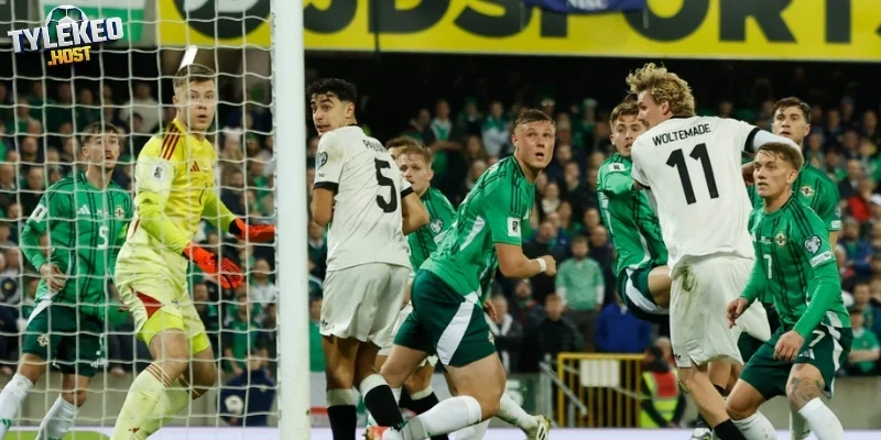Dự đoán kèo trong trận New Zealand vs Bỉ 