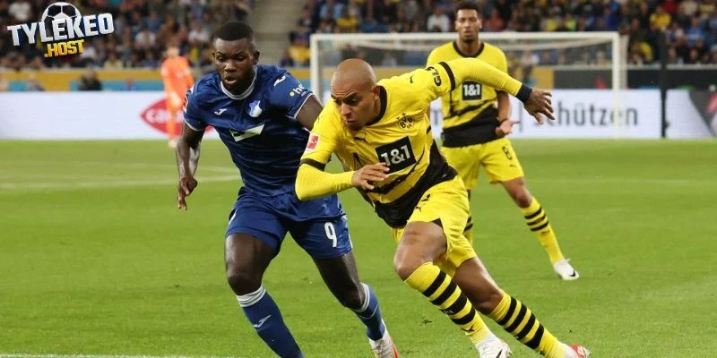 Phân tích kèo Hoffenheim vs Dortmund