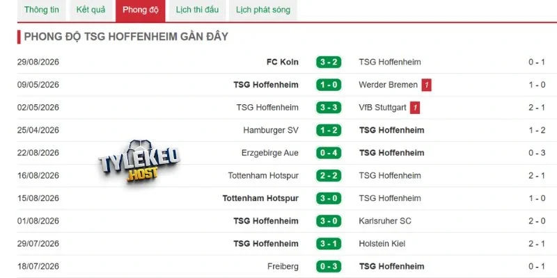 Thống kê về Hoffenheim